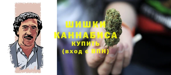 spice Алзамай