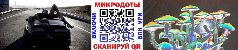 Галлюциногенные грибы Psilocybe Терек