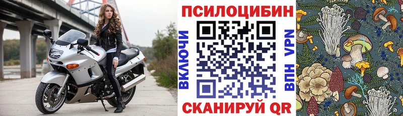 omg ONION  Терек  Галлюциногенные грибы ЛСД 
